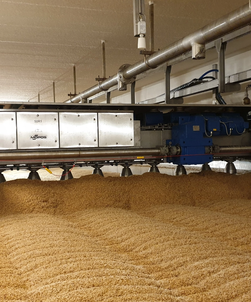 Malting
